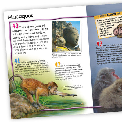 100 Facts Monkeys and Apes