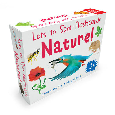 Lots to Spot Flashcards Nature box will kingfisher illustration, by children's publisher Miles Kelly