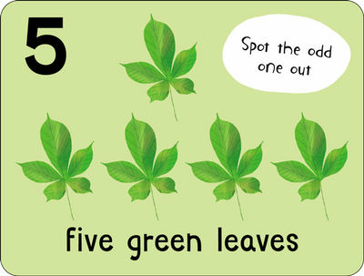 Example flashcard from Lots to Spot Flashcards Nature. It shows five green leaves and a spotting activity for kids, by Miles Kelly Publishing