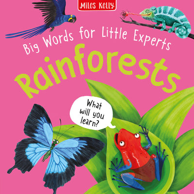 Big Words for Little Experts Rainforests cover by Miles Kelly. The illustrations show a parrot, chameleon, butterfly and frog. 