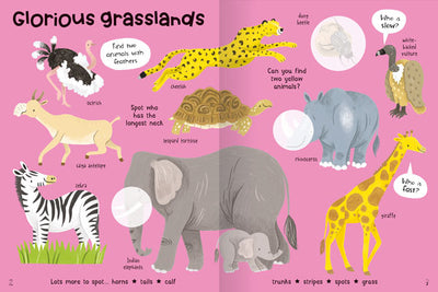 Animals Sticker Books for kids aged 3+ by Miles Kelly. Inside pages example shows illustrations of animals found on grasslands, such as elephant, zebra and giraffe