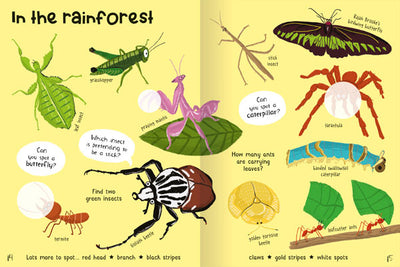Bugs Sticker Book example page by kids' book publisher Miles Kelly. The page shows bugs in the rainforest such as grasshopper, tarantula and termite.