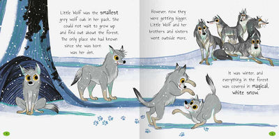 Baby Animal Tales sample page by Miles Kelly Children's Books. The illustrations shows a pack of grey wolves in the snow, with a couple of the cubs play-fighting together.