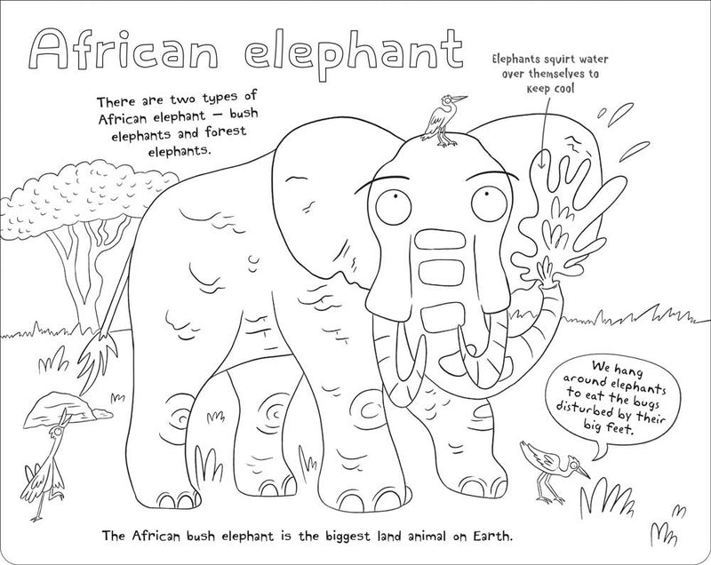 Ultimate Colour-in Animals sample page by Miles Kelly Children&