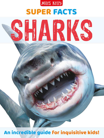 Super Facts Sharks cover by Miles Kelly Children's Books. The cover shows a great white shark, with its mouth open, showing its jagged teeth.