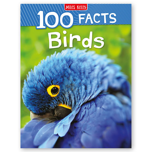 Everything about birds top