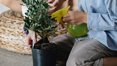 Water the plants with kids