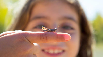 How to go nature spotting with your child