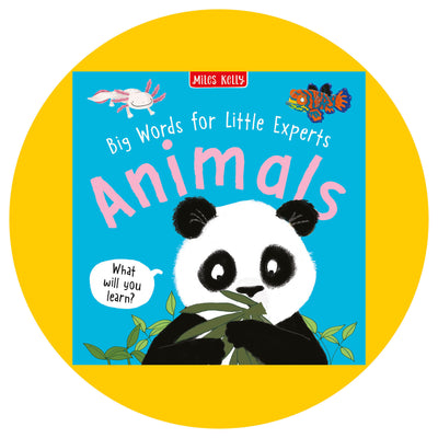 Big Words for Little Experts books for children aged 2+ by Miles Kelly Children's Books