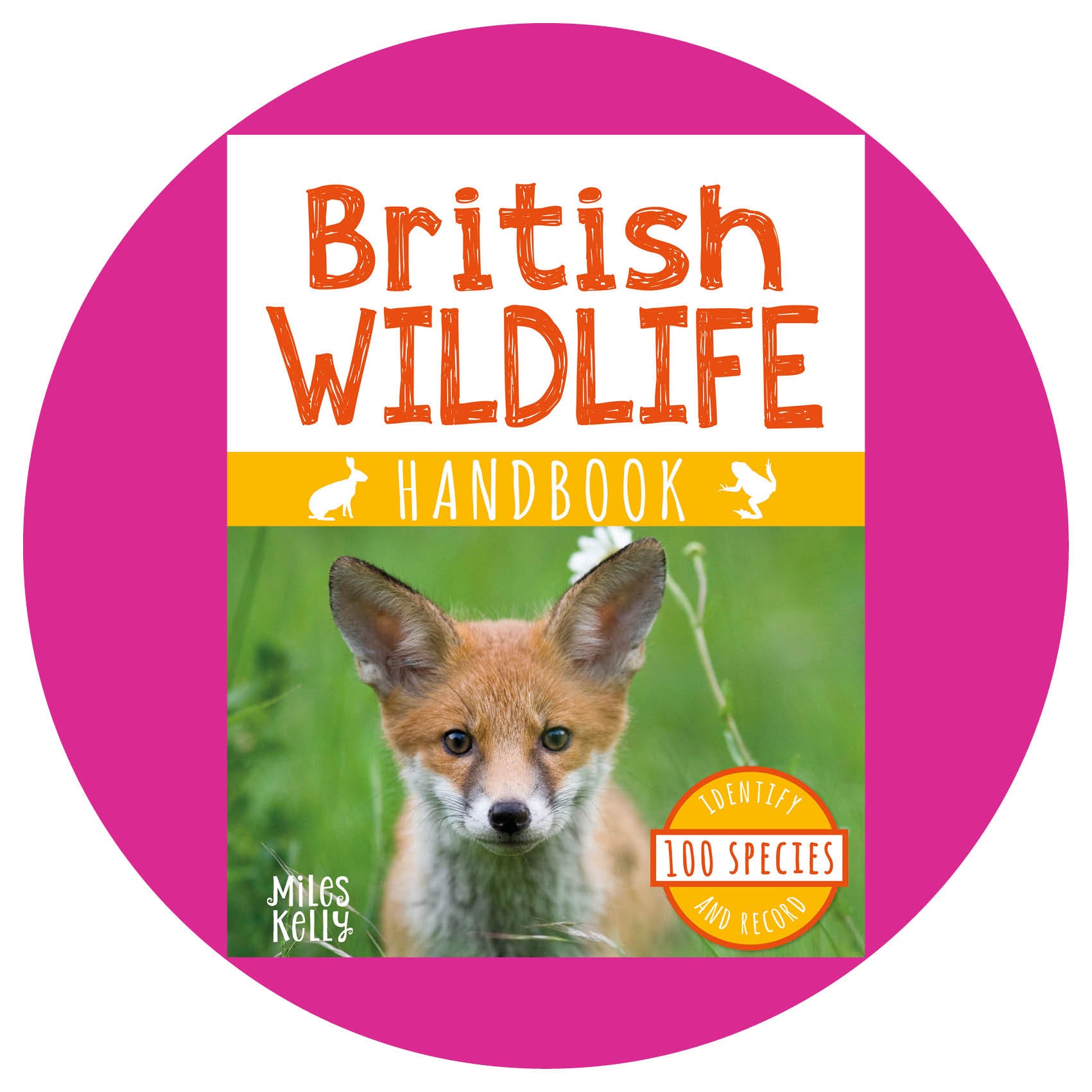 handbooks-fun-identification-guides-for-kids-miles-kelly