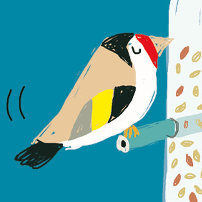 Goldfinch bird on feeder – bird books & spotters' guides for kids – Miles Kelly