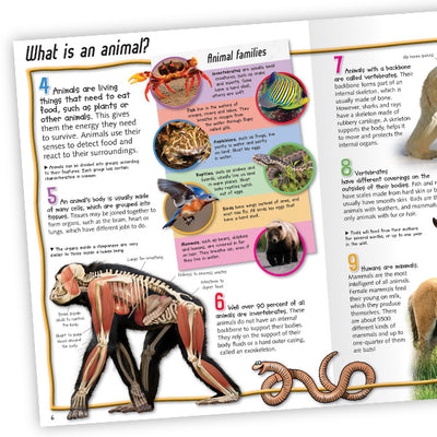 100 Facts Animal Life