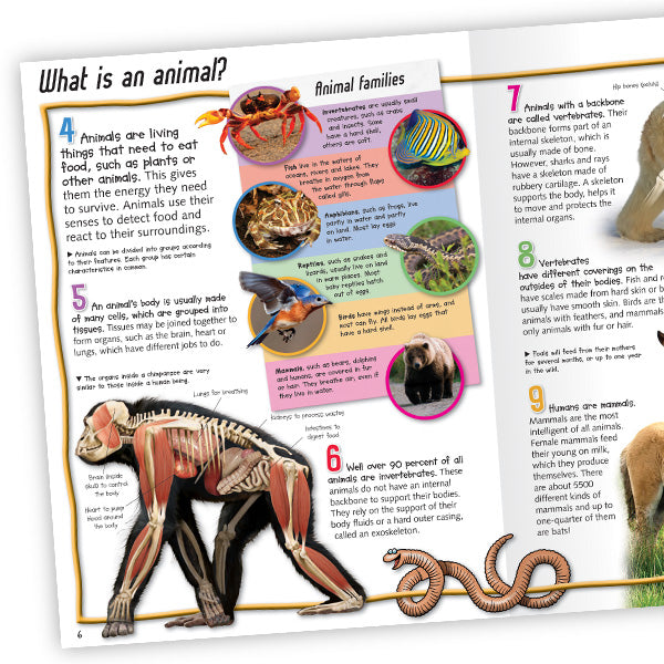 100 Facts Animal Life
