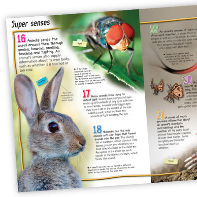 100 Facts Animal Life