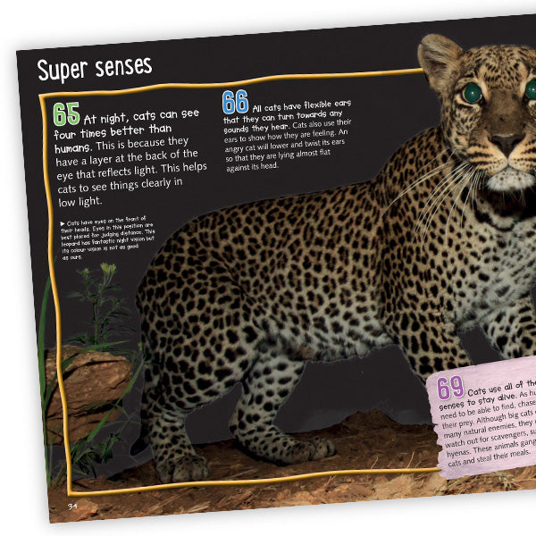 100 Facts Big Cats