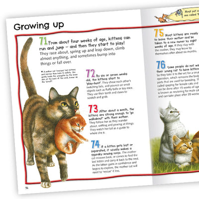 100 Facts Cats and Kittens