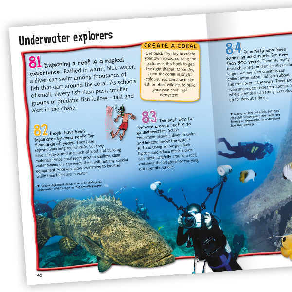 100 Facts Coral Reef – coral reef facts for kids – Miles Kelly