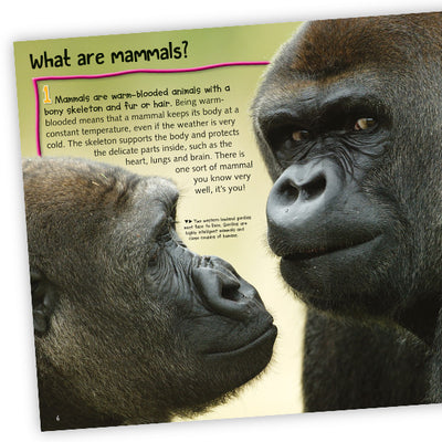 100 Facts Mammals