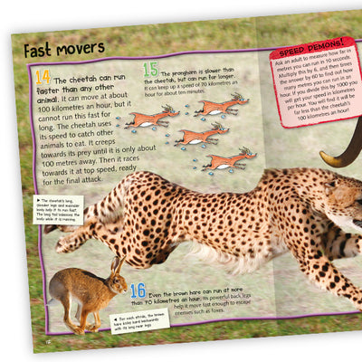 100 Facts Mammals