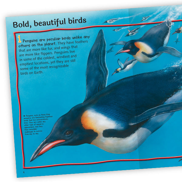 100 Facts Penguins