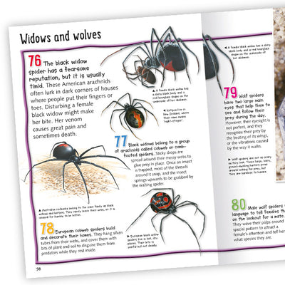 100 Facts Spiders