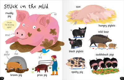 My First 1000 Words book sample pages showing illustrations of a muddy pig, brown pig, prize pig, sow, wild boar and saddleback pigs - Miles Kelly