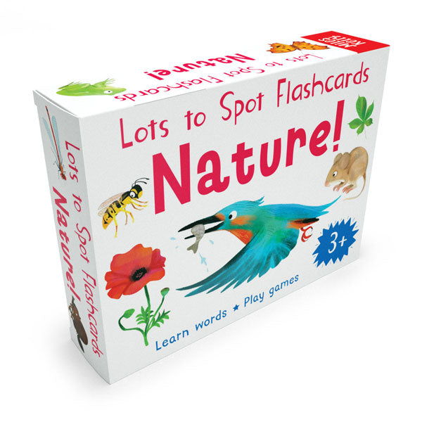 Lots to Spot Flashcards Nature box will kingfisher illustration, by children&