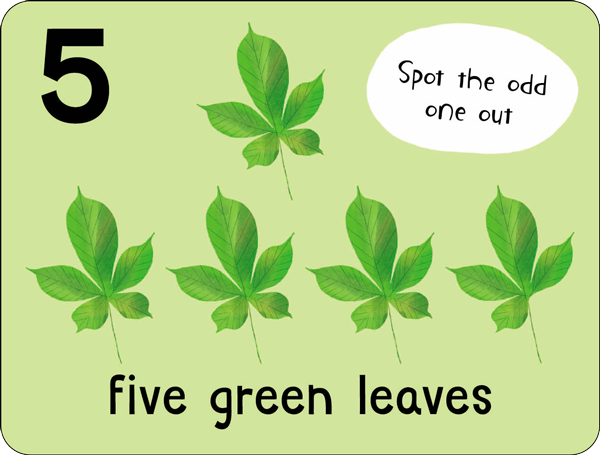Example flashcard from Lots to Spot Flashcards Nature. It shows five green leaves and a spotting activity for kids, by Miles Kelly Publishing