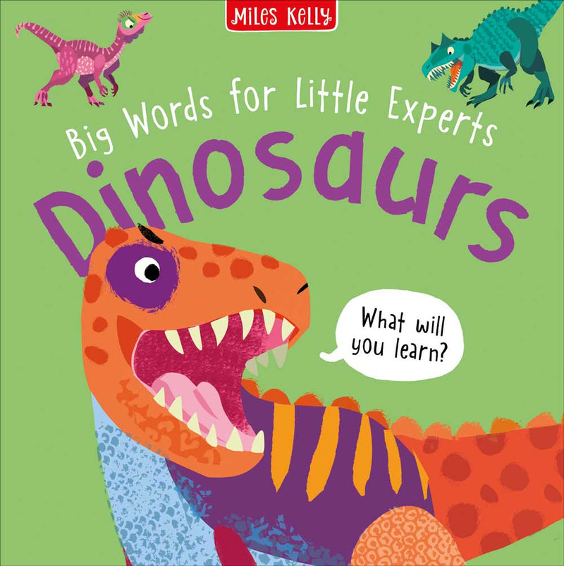 Big Words for Little Experts Dinosaurs cover by Miles Kelly Children&