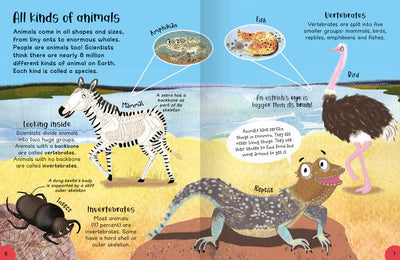 Big Book of Facts sample page by Miles Kelly. The page is about All Kinds of Animals and shows illustrations of a zebra, reptile, ostrich and insect.
