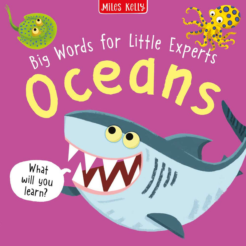 Big Words for Little Experts cover by Miles Kelly Children&