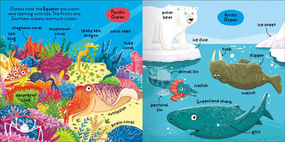 Big Words for Little Experts Oceans sample page by Miles Kelly Children's Books. The illustrations show a coral reef, and the Arctic Ocean with animals such as a Greenland shark and walrus.
