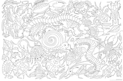 World's Biggest Colour-in Bugs poster by Miles Kelly. Shows line drawing of lots of bugs and insects for children to colour, with each one labelled.