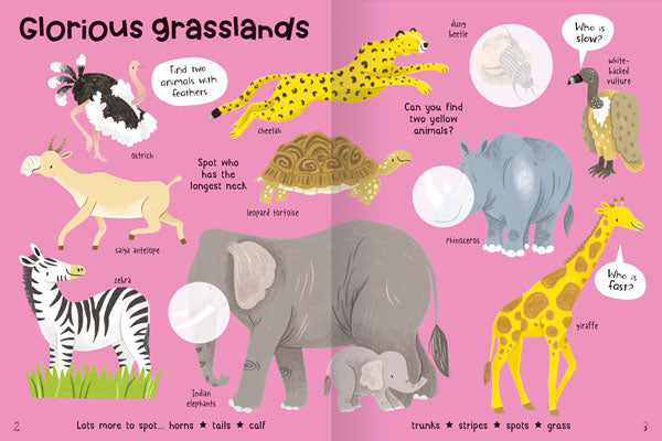 Animals Sticker Books for kids aged 3+ by Miles Kelly. Inside pages example shows illustrations of animals found on grasslands, such as elephant, zebra and giraffe