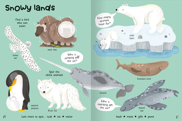 Animals Sticker Books for preschool children aged 3+ by Miles Kelly. Example of inside pages shows snowy lands habitat, with polar bear, penguin and arctic fox illustrations.