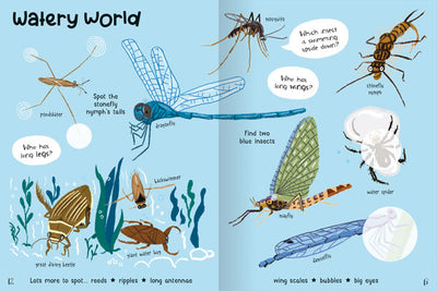 Bugs Sticker book example page by children's publisher Miles Kelly. It shows illustrations of bugs found in or near water, such as dragonfly and water spider. 