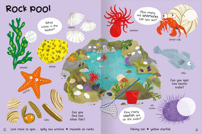 Animal Sticker Book example page by Miles Kelly. Pages are about a Rock Pool. Includes illustrations of seaweed, starfish, hermit crab and sea urchin.