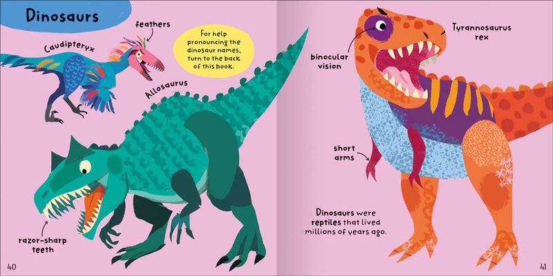 Big Words for Little Experts sample page by Miles Kelly. The page is about dinosaurs and shows Caudipteryx, Allosaurus and Tyrannosaurus Rex.