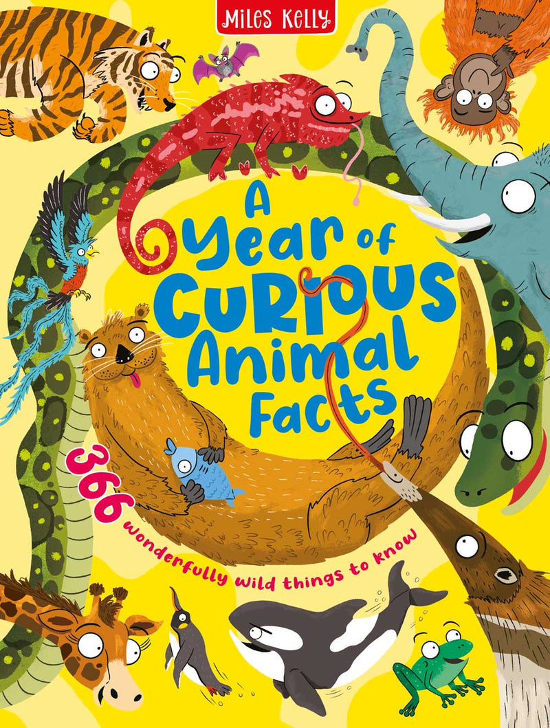 A Year of Curious Animal Facts cover by Miles Kelly. Illustrations show an assortment of animals including a tiger, orang-utan, elephant, otter, chameleon, anteater and orca.