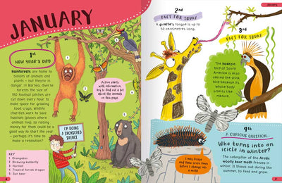 A Year of Curious Animal Facts sample page by Miles Kelly. Shows a page in January with the first 4 days of facts – about rainforests, giraffes, hoatzin birs, and a woolly bear moth.