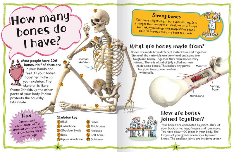 My First Fun Book of Questions and Answers sample page by Miles kelly. Shows a page about the human skeleton and bones, answering why we have bones and what they are made from, with accompanying illustrations.