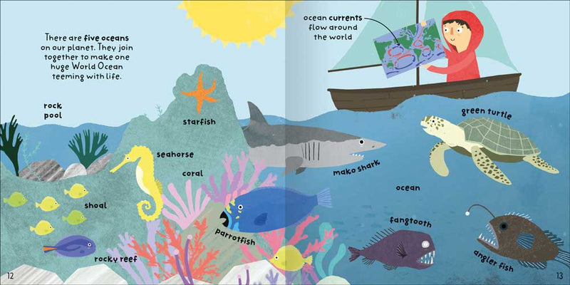 Clever Words for Little Experts sample page by Miles Kelly. Shows a page about oceans, with illustrations of rock pool, starfish, seahorse, coral, shoal of fish, rocky reef, parrotfish, mako shark, fangtooth, green turtle and angler fish.