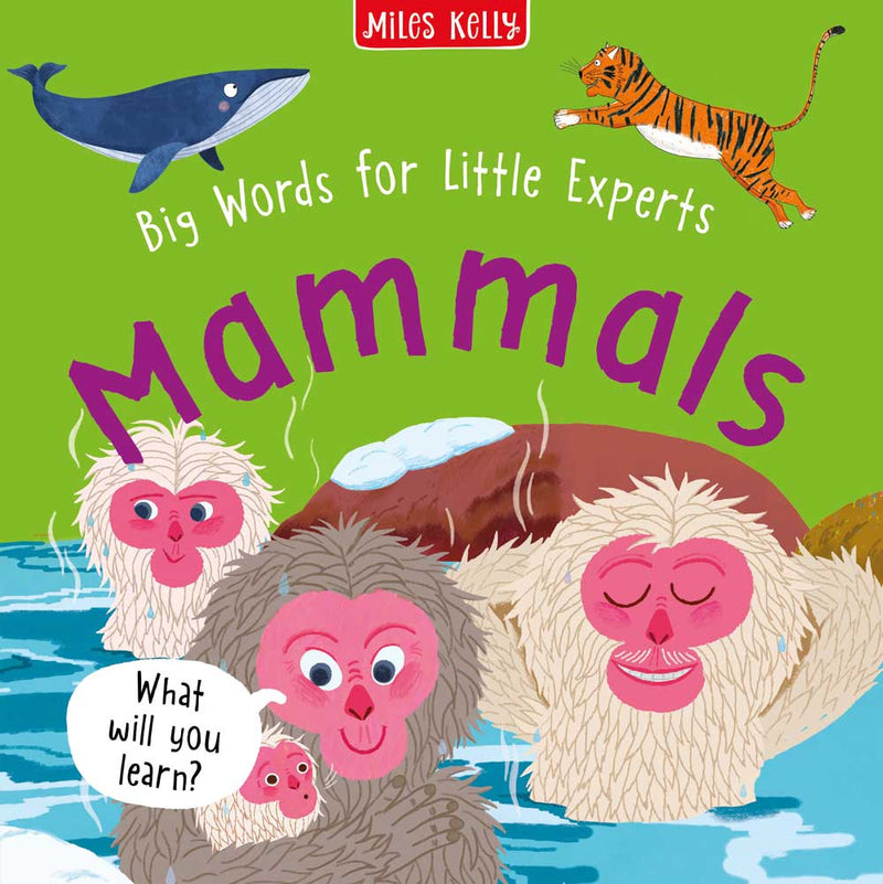 Big Words for Little Experts: Mammals cover by Miles Kelly. The illustrations show macaques in a warm pool, a whale and a tiger.