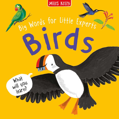 Big Words for Little Experts Birds cover by Miles Kelly. The illustrations show a puffin, parrot and hummingbird.