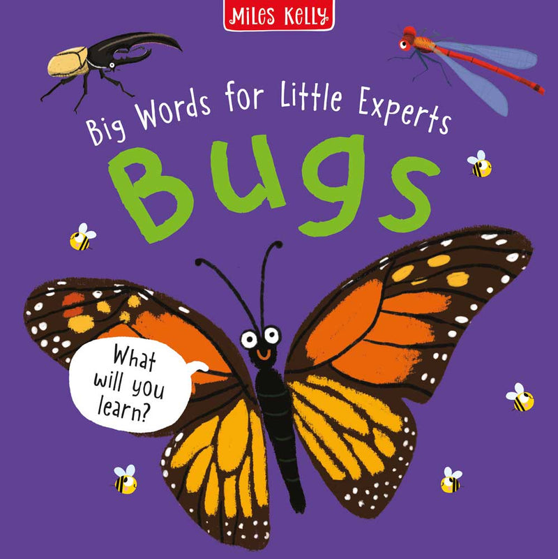 Big Words for Little Experts: Bugs cover by Miles Kelly. The illustrations show a butterfly, beetle and dragonfly.