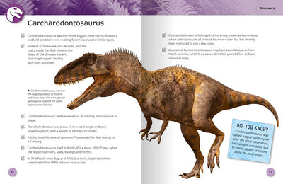 Super Facts Dinosaurs sample page by Miles Kelly Children's Books. The sample page shows Carcharodontosaurus.