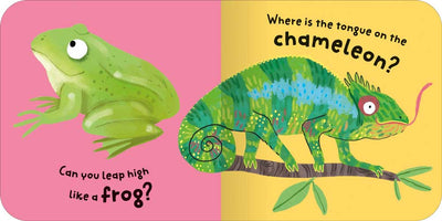 Spot and Do: Animals sample page by Miles Kelly Children's Books. The sample pages shows an illustration of a frog - can you leap like a frog - and chameleon - where is the tongue on the chameleon.