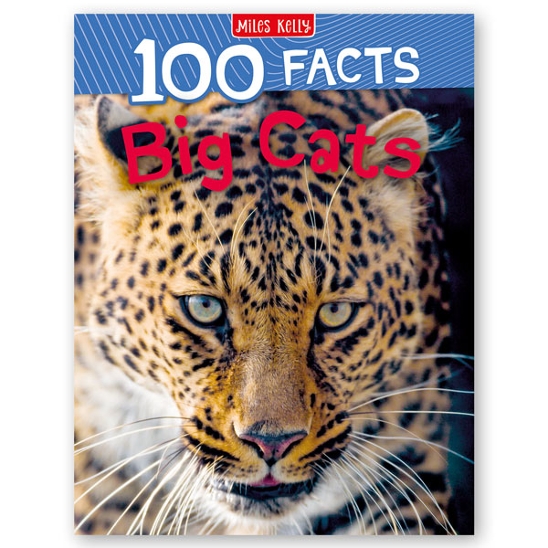 100 Facts Big Cats