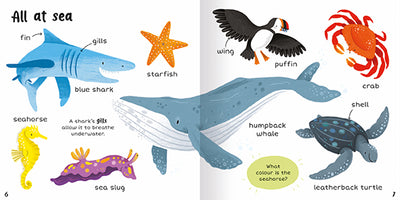 The image shows two inside-facing pages titled All at sea from 100+ First Words Animals. Each of the colourful animals is sitting on a white background. The animals shown are a blue shark, an orange starfish, a yellow seahorse, a purple and orange sea slug, a humpback whale, a puffin, and a grey-blue leatherback turtle and an orange crab. A short paragraph explains that a shark's gills help it to breathe underwater, and a question on a green background asks the reader: what colour is the seahorse?