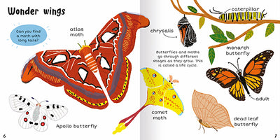The image shows two facing pages titled Wonder wings from the book 100+ First Words Bugs. On a white background, we see a brown-orange atlas moth, white, black and red Apollo butterfly. and a yellow comet moth. There is also a brown dead leaf butterfly and an adult monarch butterfly, as well as a caterpillar and a chrysalis. There is text on a blue panel that asks the reader to find the moth with long tails and a short paragraph that explains how these insects go through different stages.